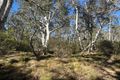 Property photo of 12 Half Moon Road Mongarlowe NSW 2622