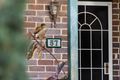 Property photo of 57 Wilga Street Concord West NSW 2138