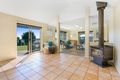 Property photo of 3 Joan Court Skye VIC 3977