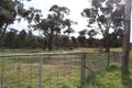 Property photo of 440 Cadia Road Springside NSW 2800