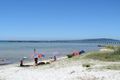 Property photo of 24 Hakea Avenue Capel Sound VIC 3940