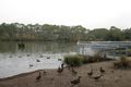 Property photo of 7 Reisling Road Wynn Vale SA 5127