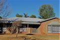 Property photo of 10 Tapio Street Gol Gol NSW 2738