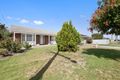 Property photo of 63 Rutland Avenue Lockleys SA 5032