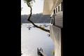 Property photo of 1/28 Cabarita Road Avalon Beach NSW 2107