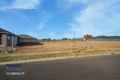 Property photo of 11 Arena Street Spring Farm NSW 2570