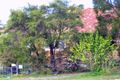 Property photo of 7 Karnak Street Denistone East NSW 2112