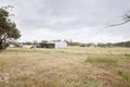 Property photo of 119 Fairview Road Lucindale SA 5272