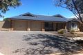 Property photo of 50 Risby Avenue Whyalla Jenkins SA 5609