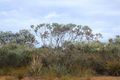 Property photo of 6 Seaview Way Hopetoun WA 6348