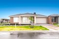 Property photo of 41 Nesting Vista Craigieburn VIC 3064