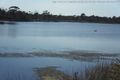 Property photo of 23247 Tasman Highway Scamander TAS 7215