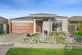 Property photo of 7 Peck Place Kalkallo VIC 3064