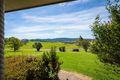 Property photo of 1113 Cobargo Bermagui Road Coolagolite NSW 2550