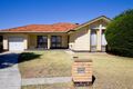 Property photo of 3 Thelma Avenue Fulham Gardens SA 5024