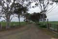 Property photo of 3 Schirmer Road Freeling SA 5372