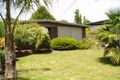 Property photo of 4 Neil Court Tootgarook VIC 3941