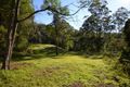 Property photo of 935 Illaroo Road Tapitallee NSW 2540