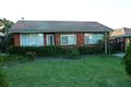 Property photo of 36 Cripps Avenue Kingsgrove NSW 2208