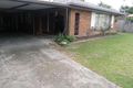 Property photo of 31 Bordeaux Parade Mermaid Waters QLD 4218