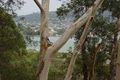Property photo of 27 Woorara Parade Green Point NSW 2251
