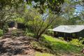 Property photo of 58 Basil Road Nimbin NSW 2480