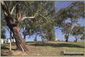 Property photo of 9 Bavin Street Curtin ACT 2605