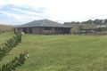 Property photo of 8 Lighthorse Parade Glenbawn NSW 2337