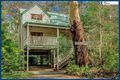 Property photo of 28 Canyon Parade Springbrook QLD 4213