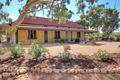 Property photo of 1276 Heinrich Road Yinkanie SA 5332
