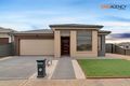 Property photo of 43 Cornus Drive Tarneit VIC 3029