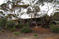 Property photo of 671 Mackintosh Road Cadell SA 5321