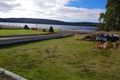 Property photo of 144 Bradys Lake Road Bradys Lake TAS 7140