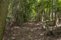 Property photo of 30 Alex Road Mount Glorious QLD 4520
