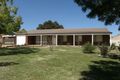 Property photo of 59 Godfrey Street Raglan NSW 2795