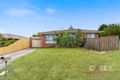 Property photo of 67 Amber Crescent Narre Warren VIC 3805