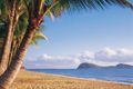 Property photo of 12 Kurt Close Palm Cove QLD 4879