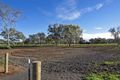 Property photo of 2 Dudley Court Roseworthy SA 5371