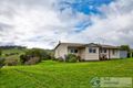 Property photo of 435 Mountain View Road Mountain View VIC 3988