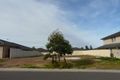 Property photo of 35 Dodonea Circuit Mount Annan NSW 2567