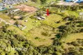 Property photo of 146 Ingleburn Road Leppington NSW 2179