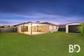 Property photo of 38 Daintree Street Bellmere QLD 4510