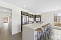 Property photo of 23 Daybreak Street Yarrabilba QLD 4207