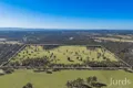 Property photo of 694 Hermitage Road Pokolbin NSW 2320