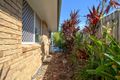 Property photo of 24 Tristania Crescent Urangan QLD 4655