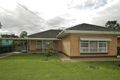 Property photo of 134 Ridley Grove Woodville Gardens SA 5012