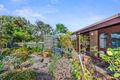 Property photo of 29 Lockington Crescent Point Lonsdale VIC 3225