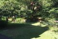 Property photo of 175 North West Arm Road Grays Point NSW 2232