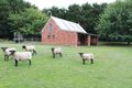 Property photo of 33 Balls Lane Pipers Creek VIC 3444