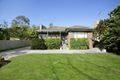 Property photo of 14 Orchard Crescent Mont Albert North VIC 3129